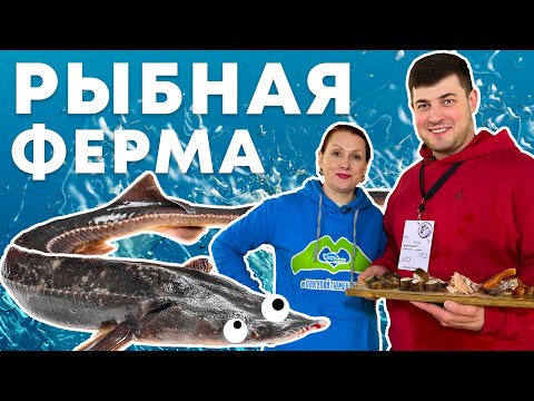 КАК ВЫРАЩИВАЮТ РЫБУ | Экскурсия на акваферму «Рыбное подворье» | Покупай тюменское!