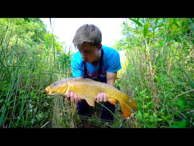 Slaying Catfish and Carp on TOPWATER! (Floating Bread) 