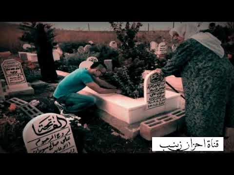 سولف ياكبر شخبار الاحباب