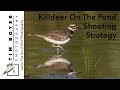 Killdeer On The Pond  --  Photography Strategy