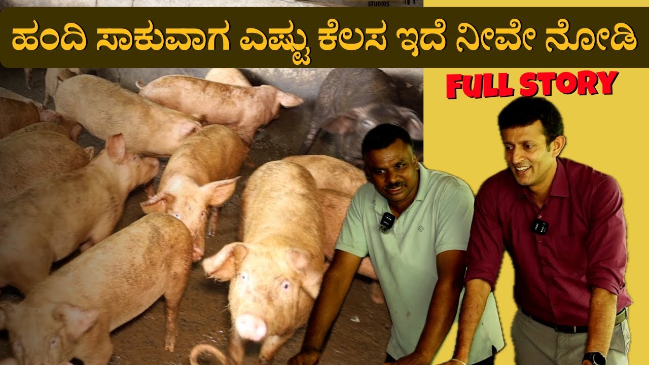 How Pigs Are Raised in Kodagu: Real Pig Farming, Feeding & Care in Coorg | Major Kushvanth Studios
