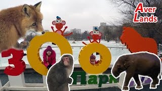 Московский зоопарк зимой Прогулка с детьми Московский зоопарк зимой Прогулка с детьми