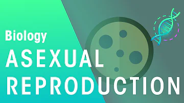Do bacteria reproduce sexually or asexually?
