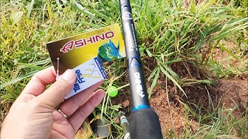 Tets cần ASHINO THUNDER, câu cá tra thịt, gems, xôi mini