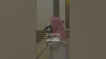 اللَّهُ نُورُ السَّمَاوَاتِ وَالْأَرْضِ - القارئ محمد اللحيدان