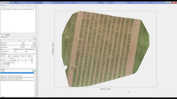 Phenalysis | Importing a raster image