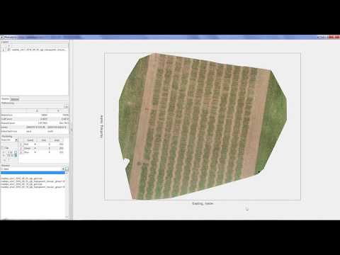 Phenalysis | Importing a raster image