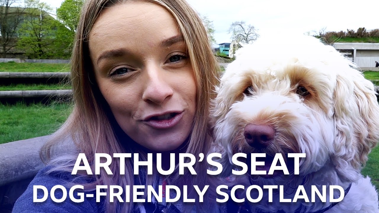 Is Arthur's Seat In Edinburgh Good For A Day Out With Your Dog? | BBC The Social