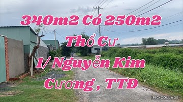 Đất 340m2 Mặt Tiền Nhựa 1/ Nguyễn Kim Cương , Tân Thạnh Đông | Thổ Cư , Sổ Hồng Riêng Giá Tốt