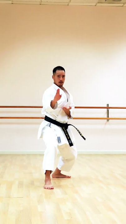 AMAZING KARATE KATA TRAINING 🥋⛩