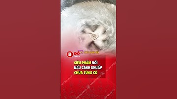 Siêu phẩm nồi nấu cánh khuấy chưa từng có 🔥#thietbibep #noinaucanhkhuay #noidien #food