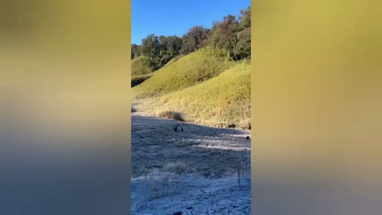 Outing with friends 2026 at Vaonuhrao. Liyai khullen village