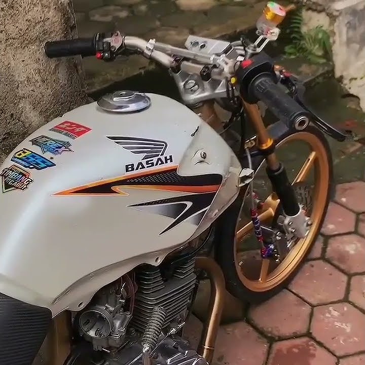 story'wa herex tiger terbaru || shorts tiktok instagram #herex #tiktok #storywa