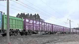 4096レ EF510-501 奥羽本線 東能代〜南能代信号所 2014 0328