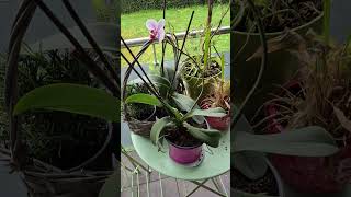 #Aargau #lenzburg #Immobilien bewirtschaften#Schweizer Qualität #heimat #verkaufen #vermietung