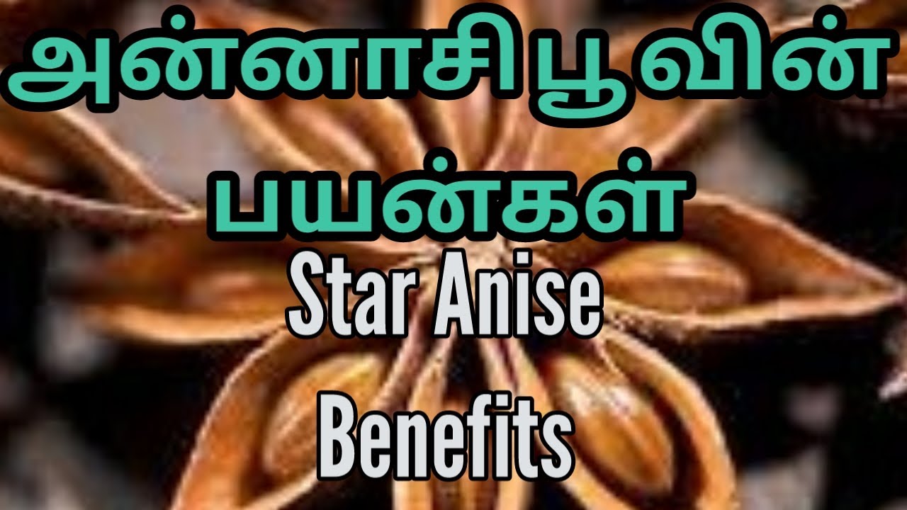 I Star Anise Benefits In Tamil I i-star-anise-benefits-in-tamil-i