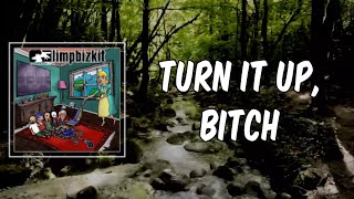 Lyric: limp bizkit - turn it up, bitch