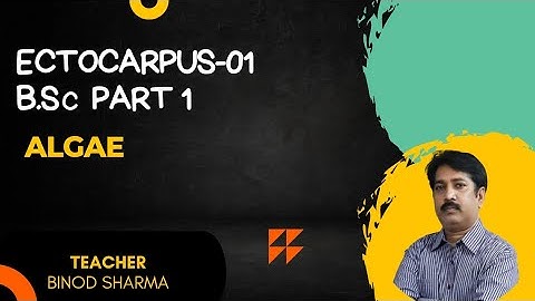 Ectocarpus/Part 1/Classification/Occurrence/B.Sc/