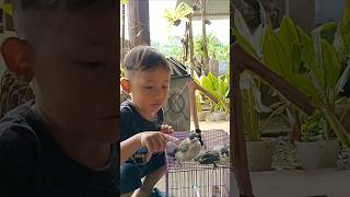 Burungnya Di Sayangi Sama De Aksya🥰🦜‼️