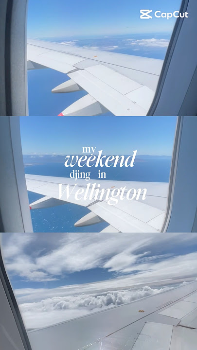 i flew to wellington to dj at a one direction tribute gig! 🤭🎀 #onedirection #nz #vlog #dj #djing