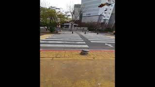 바닥신호등 스마트횡단보도 바닥형보행신호등 스마트워킹365 삼마아이씨티