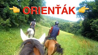 Jak si zpestřit vyjížďku na koni? 🏇👀 Udělejte si vlastní orienťák | VLOG