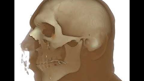 Interactive directional ambient occlusion and shadow computations for volume ray casting