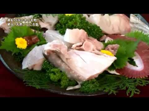 珊瑚礁 日本ほのぼの散歩 Youtube 珊瑚礁 日本ほのぼの散歩 Youtube