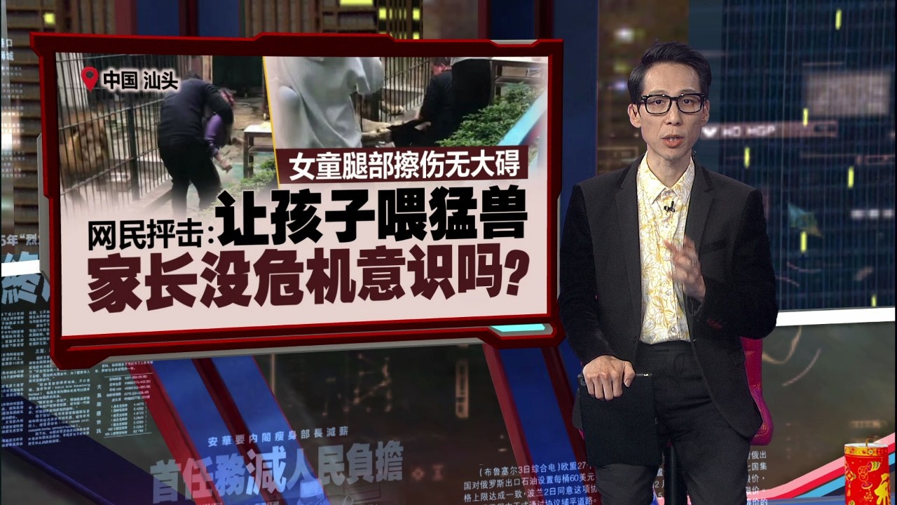 中国动物园发生惊魂一幕   女童喂狮子险被拉入笼 | 新闻报报看 01/03/2026