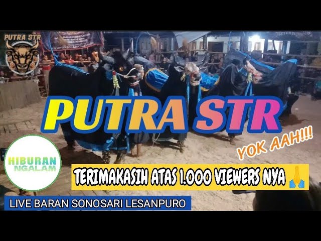 MALAM HOROR PUTRA STR class=