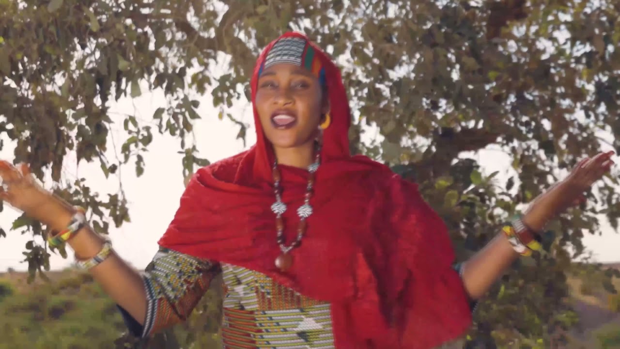 L'insécurité a Tillaberi (Niger)