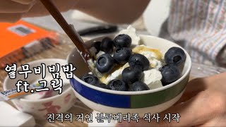 그릭 요거트로 감성 기강잡기🫐 | 한 여름 그냥 집에서 열무 슥슥 비벼 먹는 영상 🥬