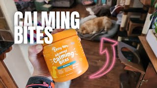 Can These Zesty Paws Calm your Pet? Find Out Now!
