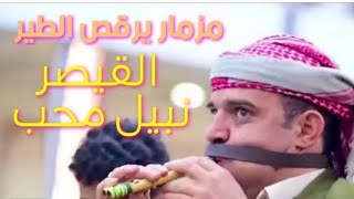 اسمع واحكم بنفسك مزمار بلديه - يرقص الطير القيصر 《نبيل محب & صالح محب》عااااااشو Now 2023