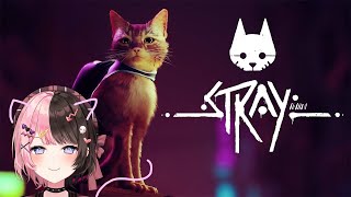 【 stray 】猫になったんだよな僕が？【ぶいすぽっ！/橘ひなの】