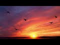 Tune6 meditationrelaxingsoulfulcalmstudyfocuszensleepspa music to heal stressanxiety