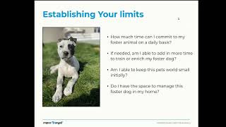Canine Training Module 1