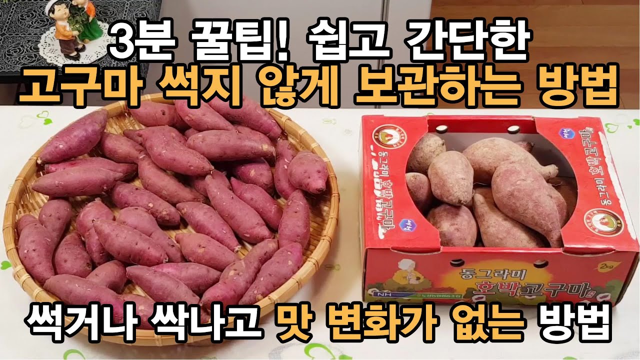 고구마 보관법 : 고구마 썩지 않게 오래 보관하는 방법 ! 싹 안나게 하는 방법 ! 고구마 보관장소 얼지 않게 하는 노하우 ! How to store sweet