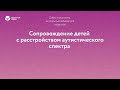 Сопровождение детей с расстройством аутистического спектра