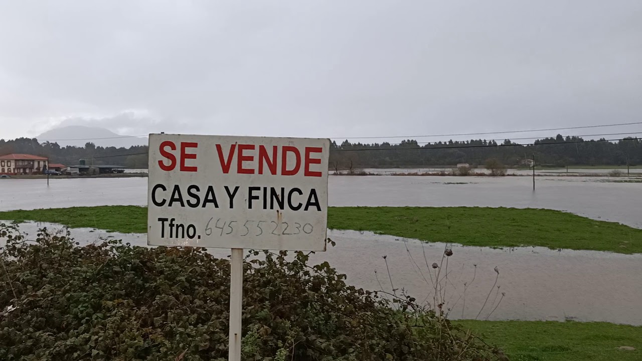 inmunización en treto Cantabria