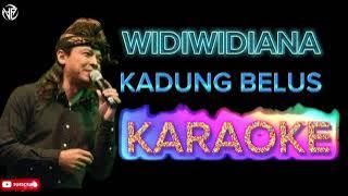 KADUNG BELUS - Widiwidiana (KARAOKE) HQ audio || Lirik berjalan