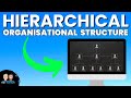 Organizational Structure Quiz