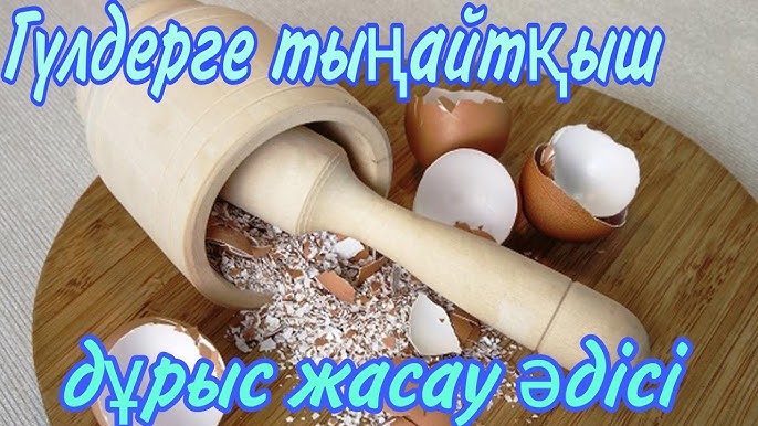 Жас гейлердің үлкен мүшесімен жыныстық қатынасқа түсуін көрсететін фильмдер Жас гейлердің үлкен мүшесімен жыныстық қатынасқа түсуін көрсететін фильмдер