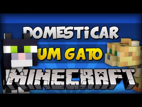 O teu gato pode aparecer em Minecraft