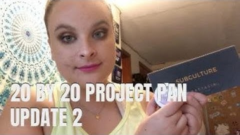 20 BY 20 PROJECT PAN UPDATE 2