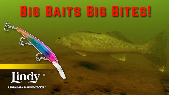 Guide Tested Trolling Tactics & Baits for BIG Deep-Water Walleyes
