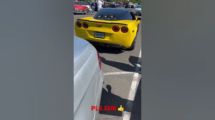 C6 CORVETTE BIG CAM IDLE CHOP