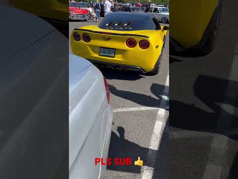 C6 CORVETTE BIG