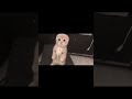 仕事を見守る子猫が可愛すぎた…
