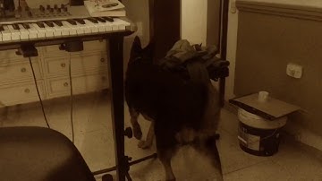 Hyperledger [OFFICIAL VIDEO]